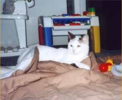 0402_Image3R.jpg (6183 bytes)