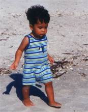 SANIBEL7-2002.jpg (8023 bytes)