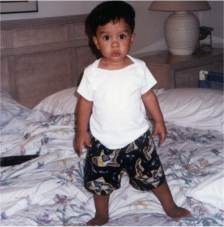 SANIBEL8-2002.jpg (9387 bytes)