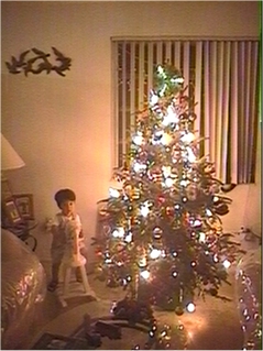 X-MAST02-PIC02.jpg (64879 bytes)