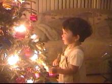 X-MAST02-PIC10.jpg (7635 bytes)