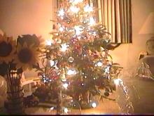 X-MAST02-PIC3.jpg (9394 bytes)