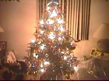 X-MAST02-PIC4.jpg (8529 bytes)