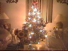 X-MAST02-PIC5.jpg (8364 bytes)