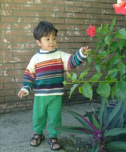 2003_1220image0204 1.jpg (15692 bytes)