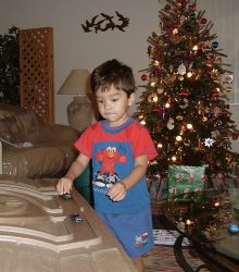 2004_1225_Ntable.jpg (15500 bytes)