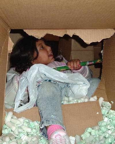 Ari6.jpg (30502 bytes)