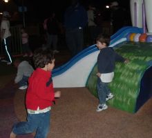 2005_0125_NALEX.jpg (8415 bytes)