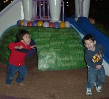 2005_0125_NALEX3.jpg (9336 bytes)