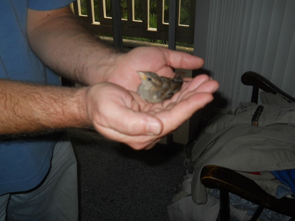 Jamie finds refuge in J's hands after the thunderstorm