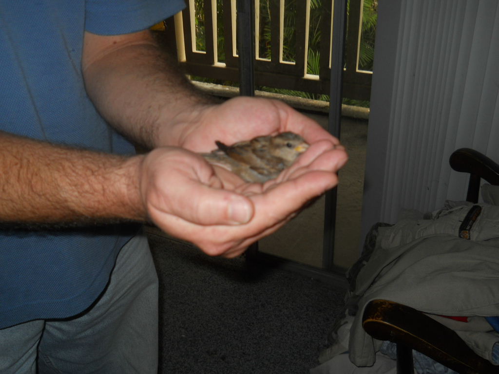 She scoops out at the bottom of the cupped hands...