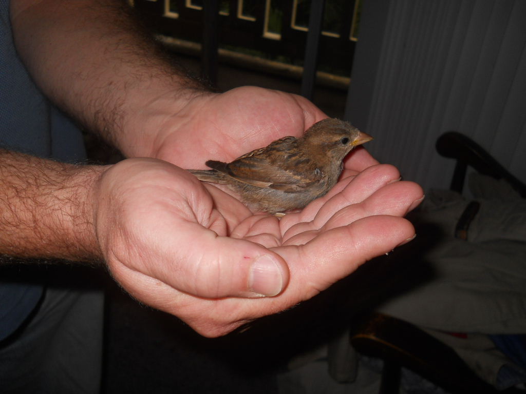 untils she gets comfortable.