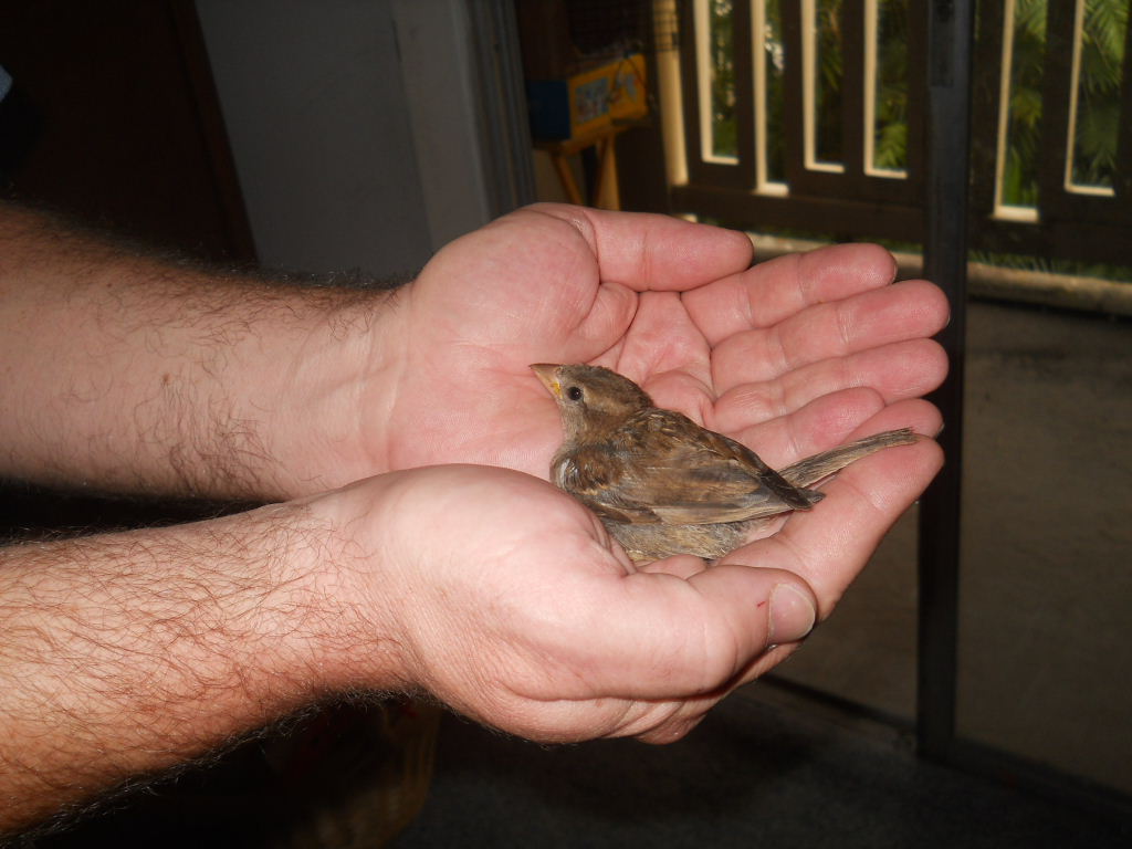 She is loving the comfort.