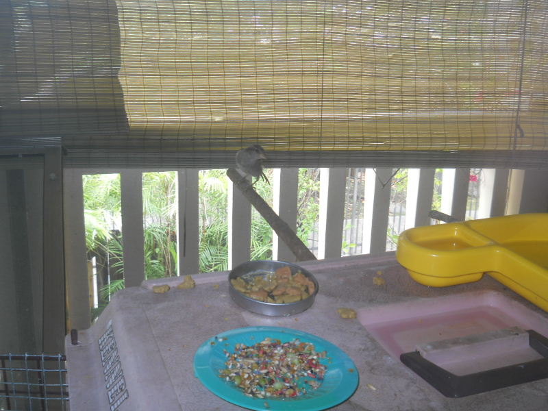 What a thunderstorm!