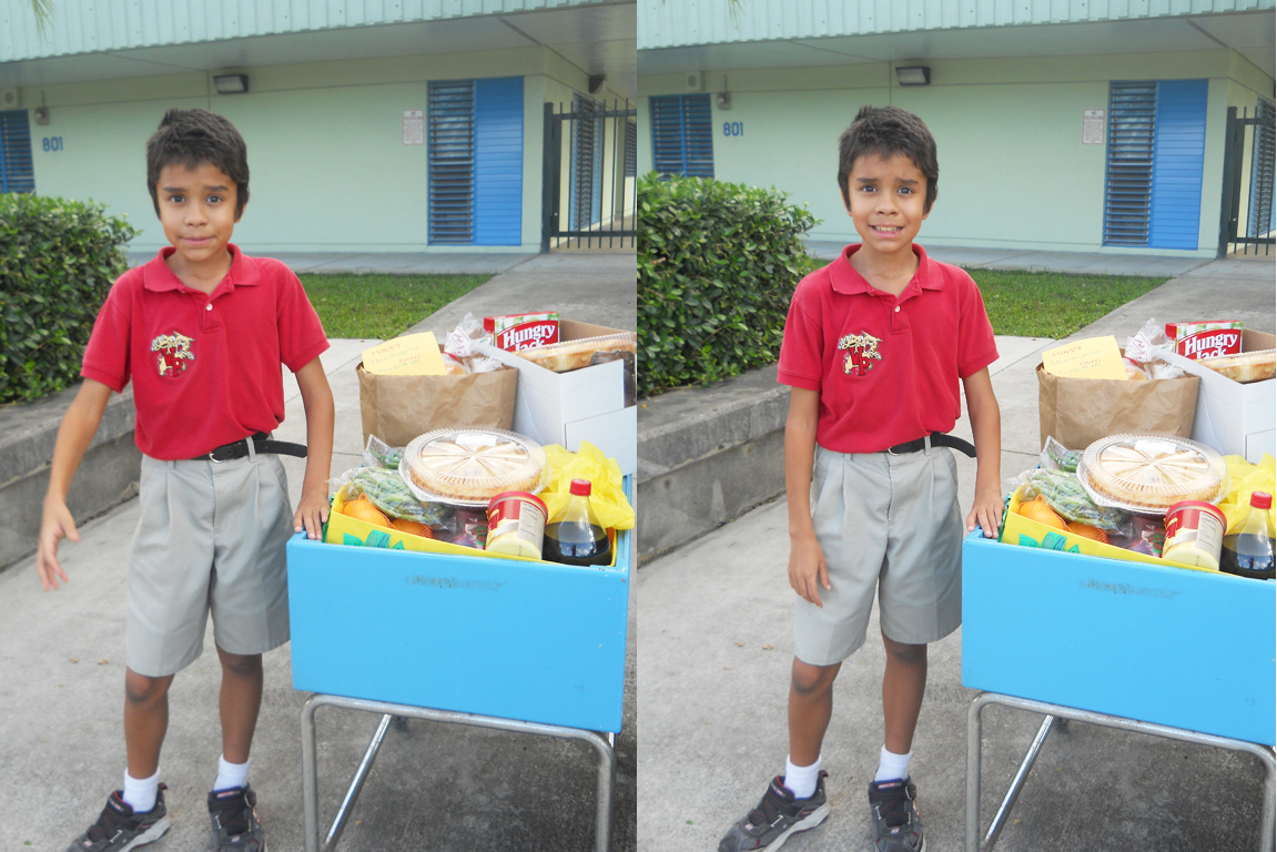 Troop #210:  A Thanksgiving Donation