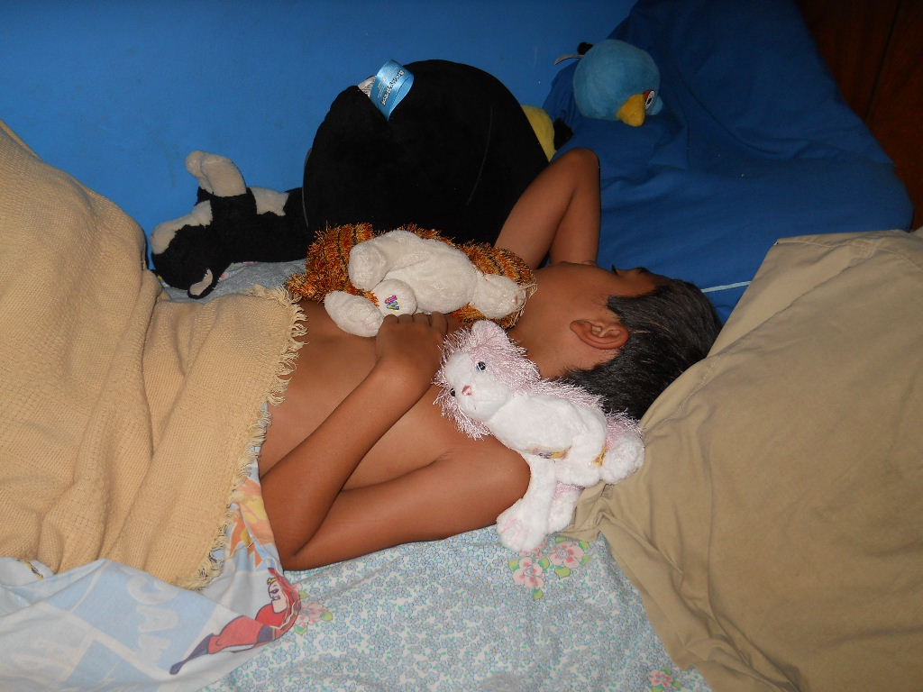 and the rest of the stuffed animals enterouge