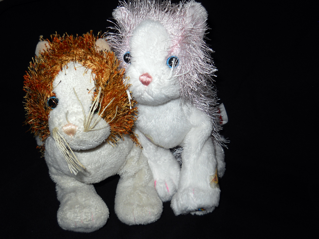 She is a nice complement to the other two kitties