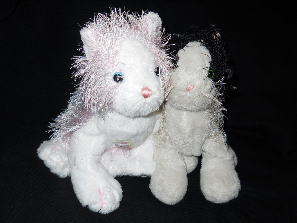 Isabella fit in perfectly with the rest of the filine companions