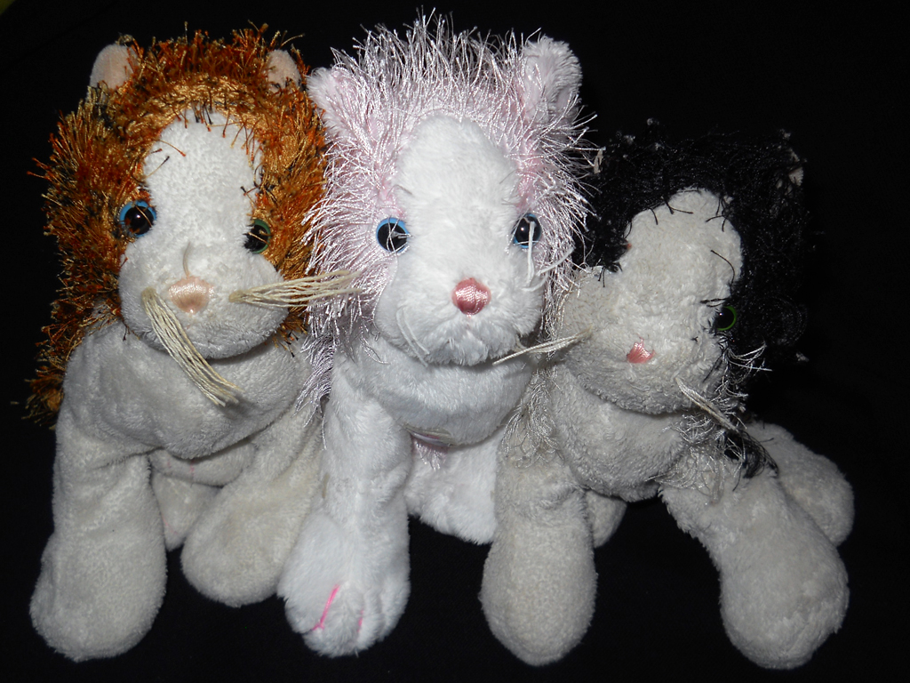 Orange Kitty, Isabella and Rydell