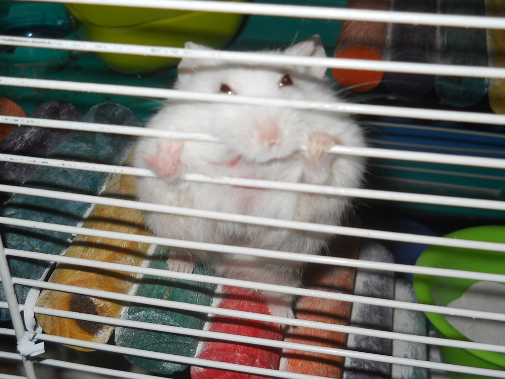 Even Baby Cindy is impressed