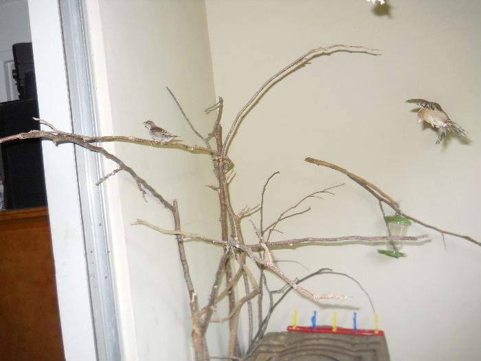 Look carefully, to the far right. That's Jamie in midflight