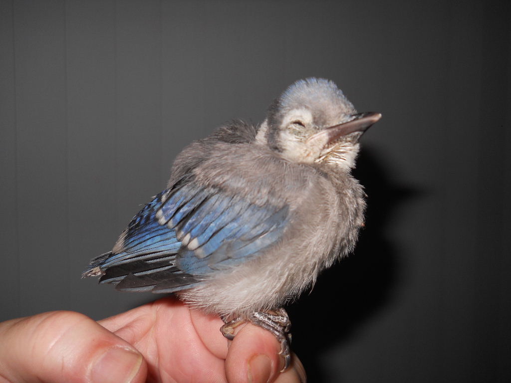 All he wanted to do was sleep.