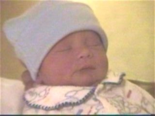 DAY2-Image1.jpg (9409 bytes)