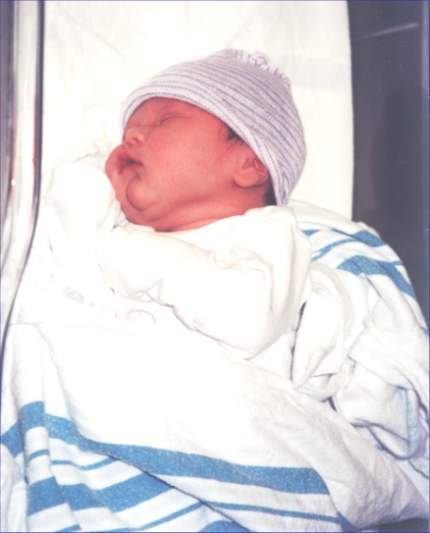 Hospital_Pic1.jpg (22106 bytes)