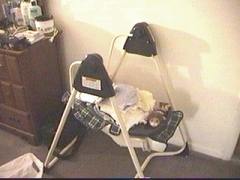 SH-L-SWING.jpg (7624 bytes)