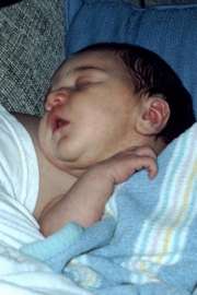 sc2-amanda2.jpg (61985 bytes)