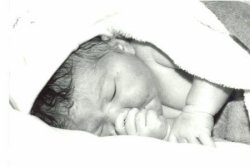 sc2-catherines1.jpg (6937 bytes)