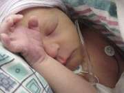 sc2-Odawnm71-2.jpg (30328 bytes)