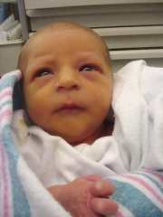 sc2-Odawnm71-3.jpg (24789 bytes)