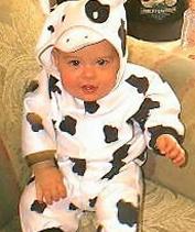 I'm not a dalmatian but the cutest boy cow!