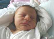 sc2-hspagna_jack3.jpg (3359 bytes)