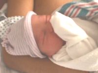 sc2-iherrera-mvc-001f.jpg (5099 bytes)