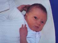 sc2-jenelizabeth-2.jpg (3123 bytes)