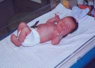 sc2-jenelizabeth-3.jpg (3898 bytes)