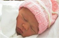 sc2-judy3.jpg (5823 bytes)