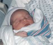 sc2-kates_1.jpg (4439 bytes)