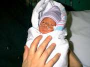 sc2-kobi2-charles17days.jpg (79680 bytes)