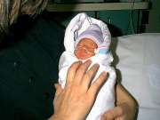 sc2-kobi3-charles17days6.jpg (94312 bytes)