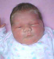 sc2-ovicki1.jpg (24156 bytes)