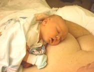 sc2-quadmom2.jpg (3855 bytes)