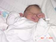 sc2-sdipert_dsc00102.jpg (3495 bytes)