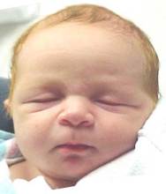 sc2-steph-1.jpg (4947 bytes)