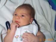 sc2-vida_caleb_cute.jpg (4331 bytes)