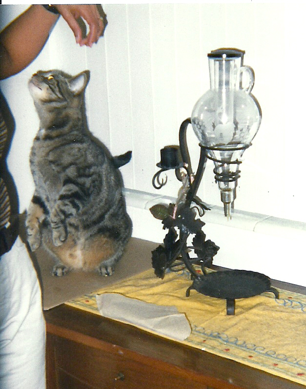 katy-movie.jpg (5873 bytes)